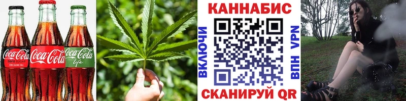 купить наркотики сайты  Славгород  Canna-Cookies конопля 