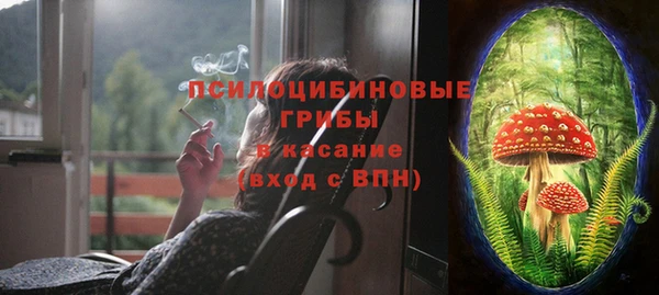 сатива Рославль