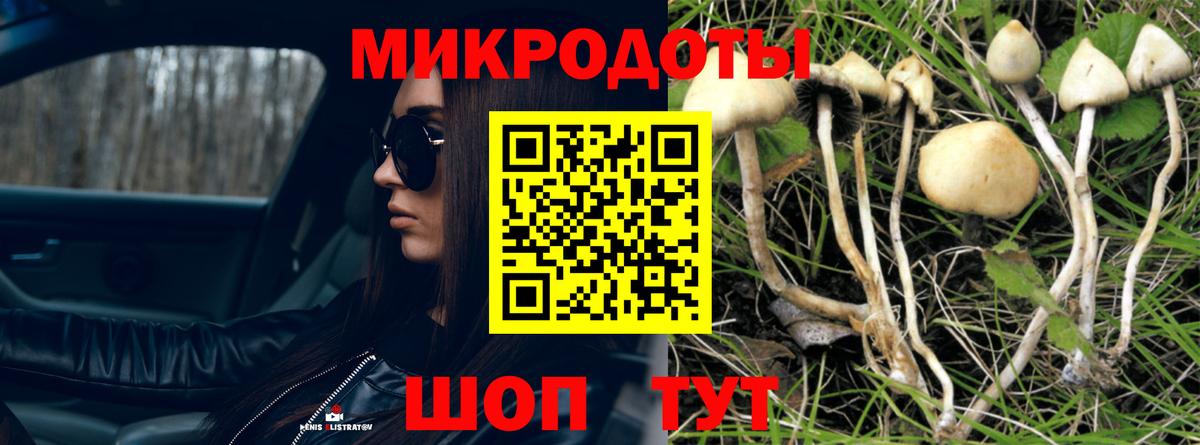 Псилоцибиновые грибы мухоморы  Вход с VPN  Славгород 