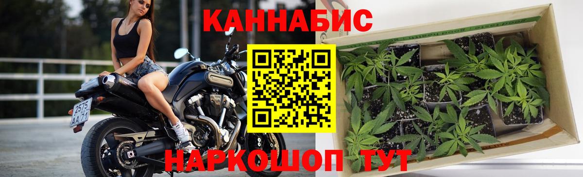 Канабис планчик  Вход с VPN  Славгород  Бошки Шишки ГИДРОПОН  Шишки марихуана тримм  Конопля AK-47 
